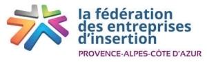 FEI_PACA_logo